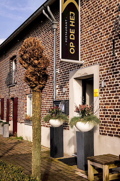 Jong talent kookt met lef