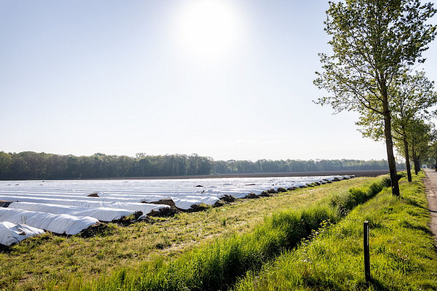 Terugblik Aspergerally 2023